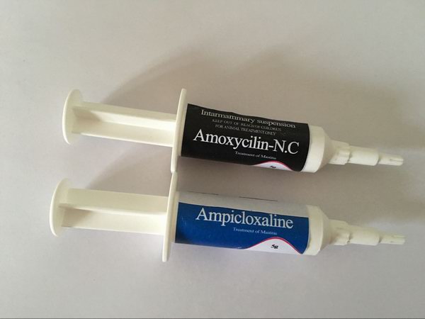 Ampicloxaline